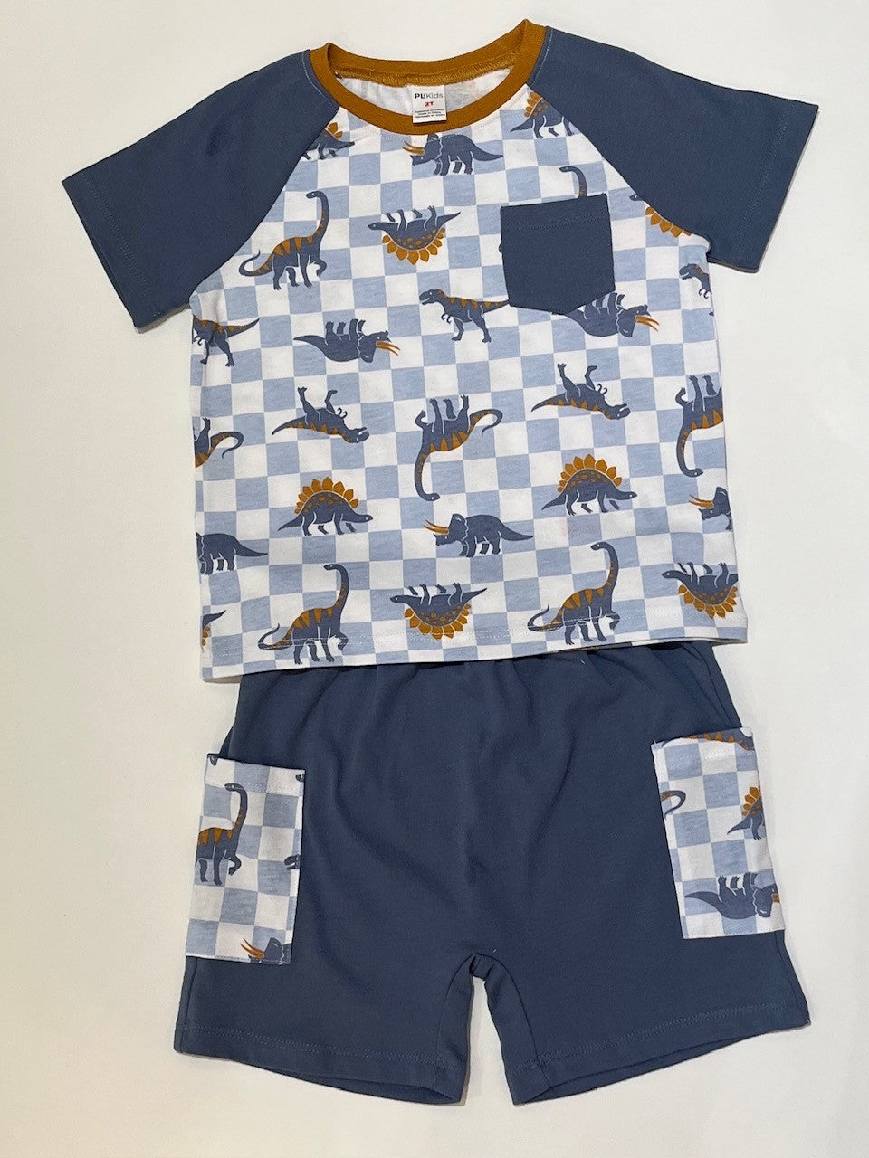 Ensemble 2 pièces-chandail motif de dinosaures et short muni de deux poches latérales a motif de dinosaure.