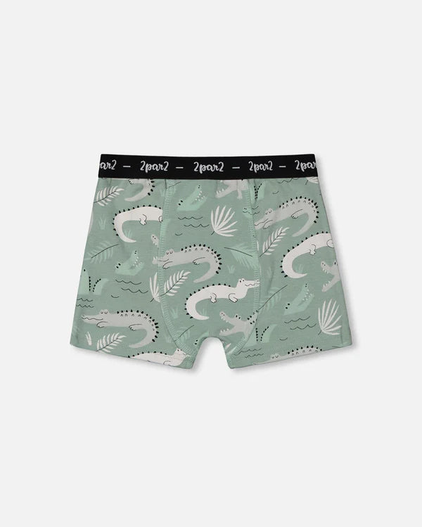 Boxer avec crocodiles gris sur fond sauge claire