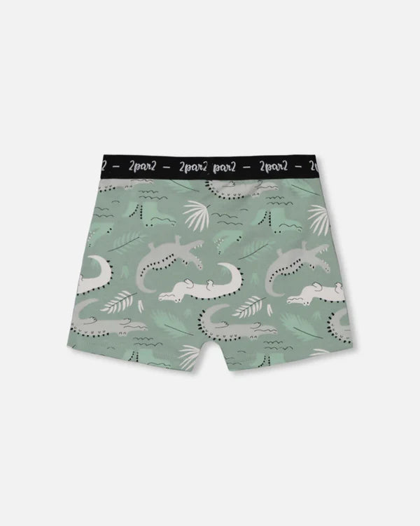 Boxer avec crocodiles gris sur fond sauge claire