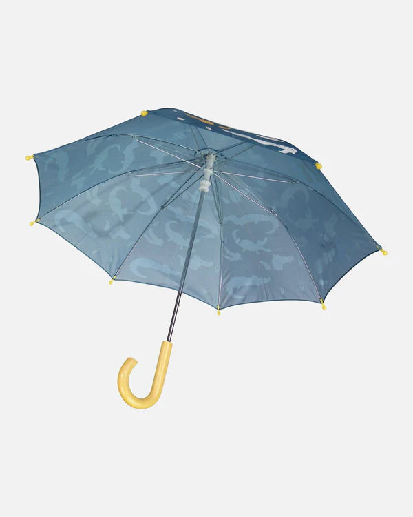 Parapluie qui changent de couleur au contact de l'eau