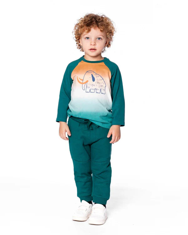 T-shirt à manches raglan en jersey de coton biologique vert gris foncé