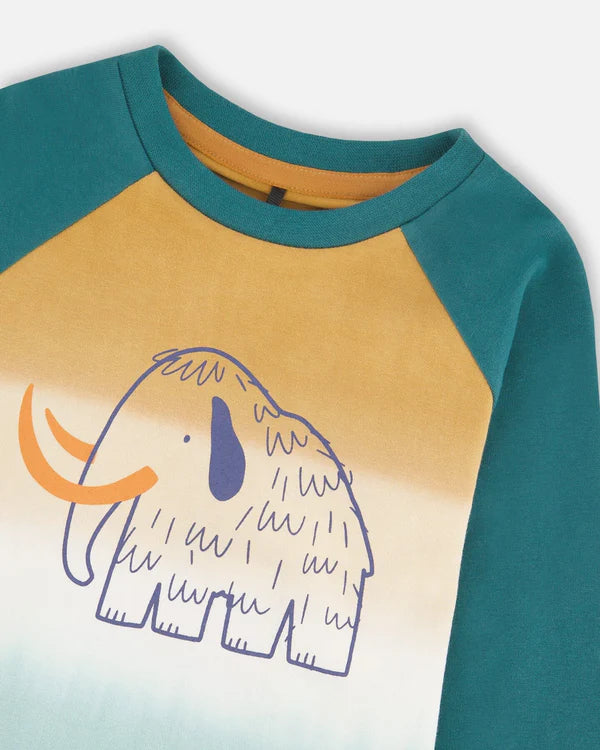 T-shirt à manches raglan en jersey de coton biologique vert gris foncé
