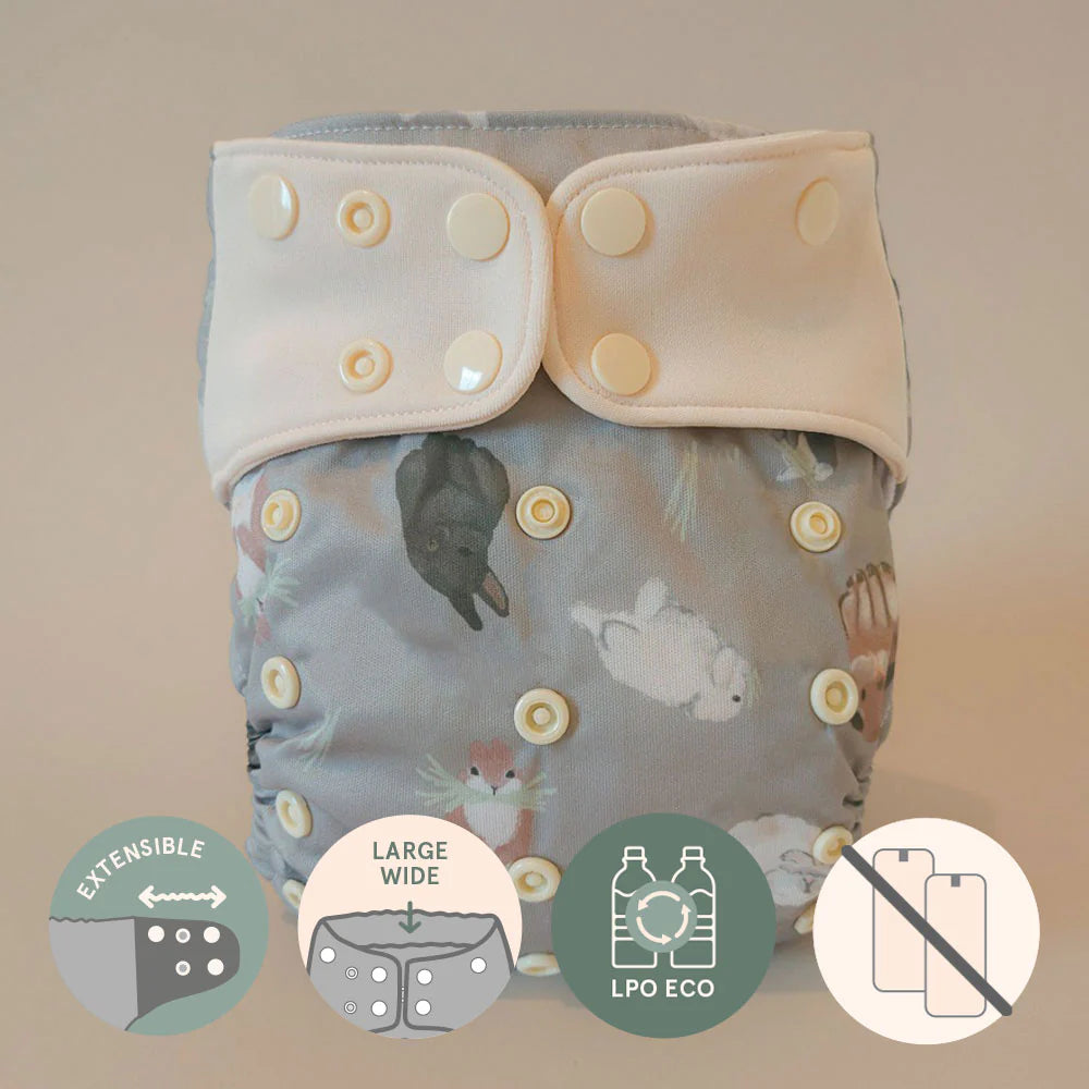 Couche à poche - Évolution