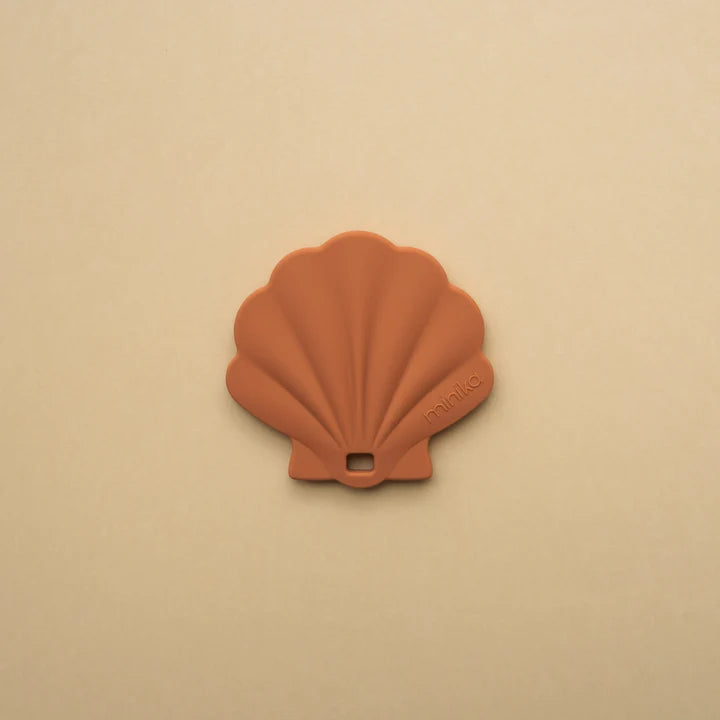 Coquillage de dentition