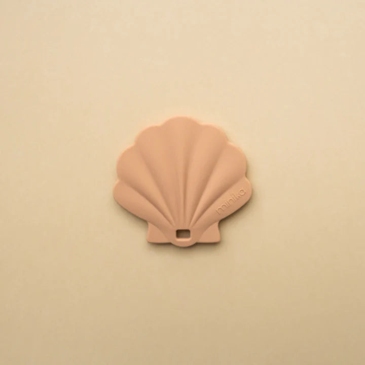 Ensemble attache suce + coquillage de dentition