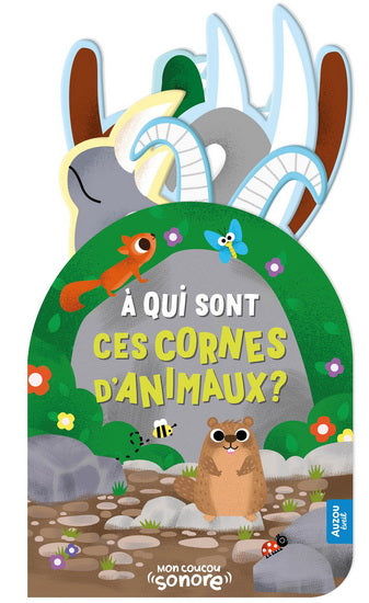 À qui sont ces cornes d'animaux? - Auzou