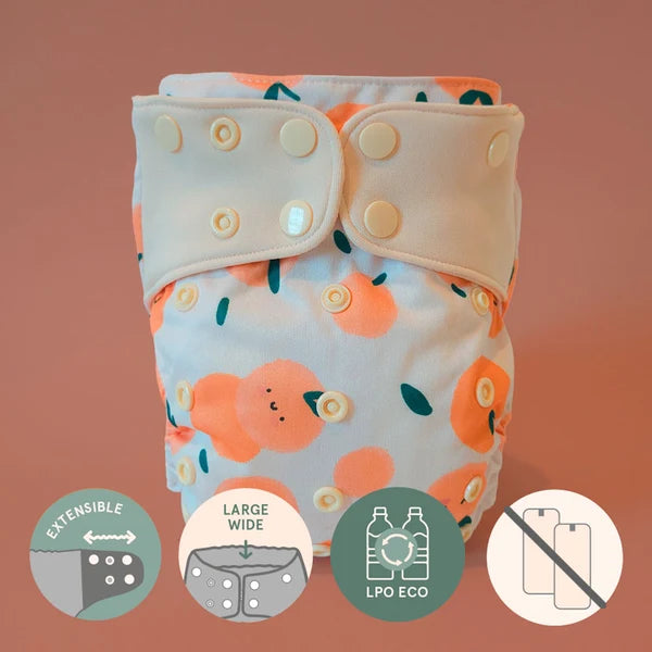 Couche à poche - Évolution