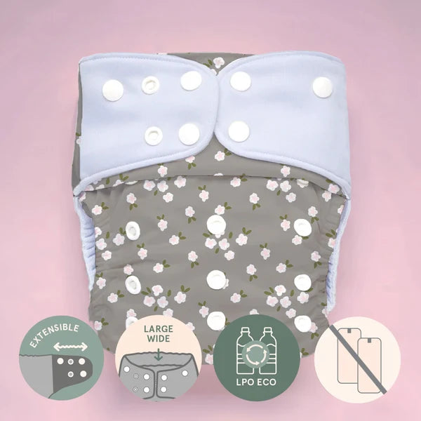 Couche à poche - Évolution