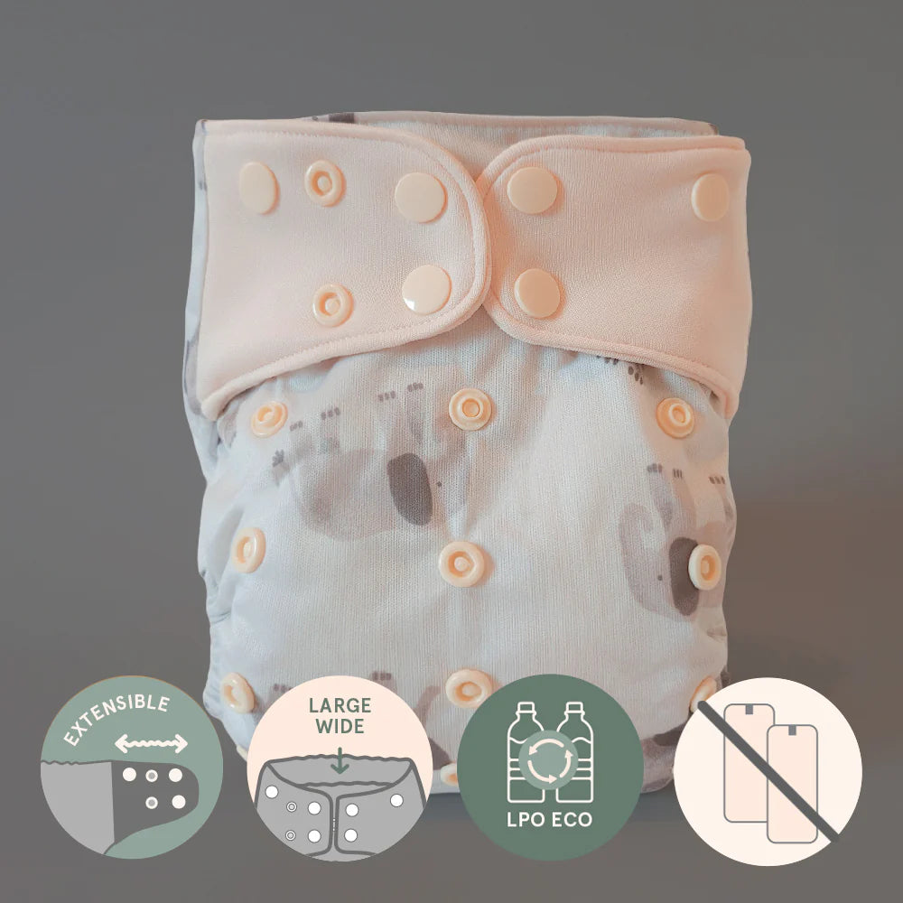 Couche à poche - Évolution