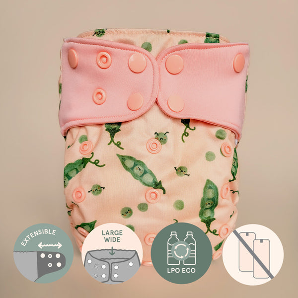 Couche à poche - Évolution